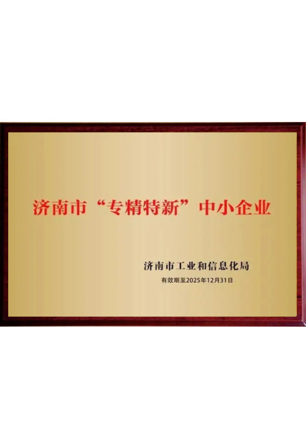 济南市专精特新