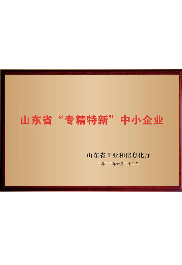 山东省专精特新