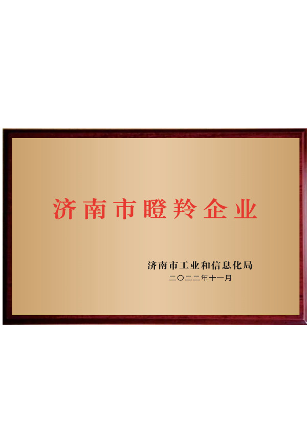济南市瞪羚企业